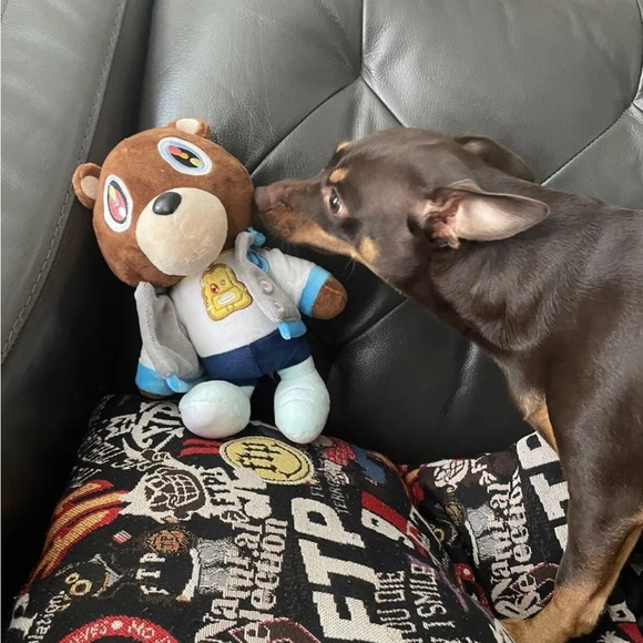 Kanye West Golden State Warriors plush bear - Picture 7 of 8